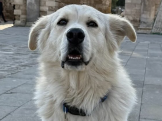 Ekran-Resmi-2026-01-20-15.11.44