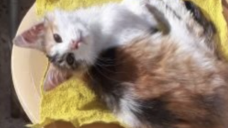 Ekran-Resmi-2026-01-20-15.32.56