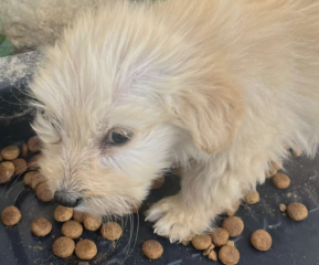 Ekran-Resmi-2026-01-20-15.36.34