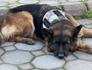 Ekran-Resmi-2026-01-20-15.38.45