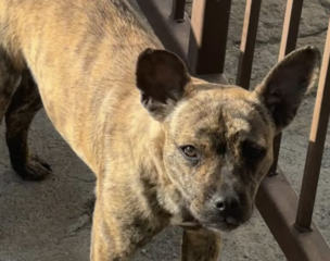 Ekran-Resmi-2026-01-20-15.39.50