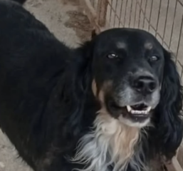 Ekran-Resmi-2026-01-20-15.42.22