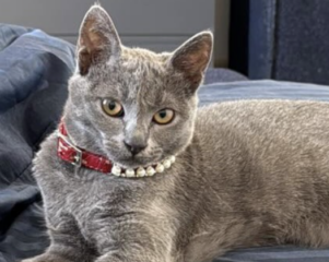 Ekran-Resmi-2026-01-20-15.44.06