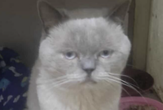 Ekran-Resmi-2026-01-20-15.45.59