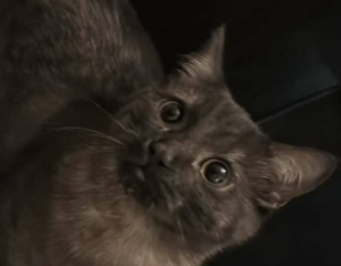 Ekran-Resmi-2026-01-20-15.47.42