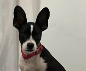 Ekran-Resmi-2026-01-20-15.49.23