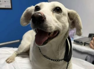 Ekran-Resmi-2026-02-01-21.01.51