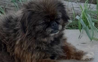 Ekran-Resmi-2026-02-01-21.05.27