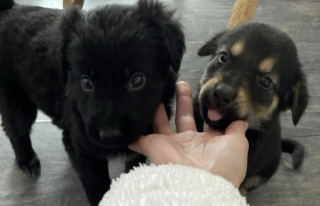 Ekran-Resmi-2026-02-01-21.11.08