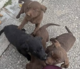 Ekran-Resmi-2026-02-01-21.32.25