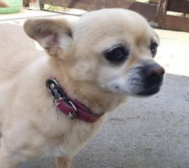 Ekran-Resmi-2026-02-01-21.36.58