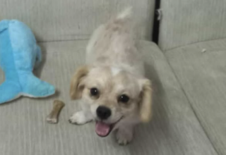 Ekran-Resmi-2026-02-01-22.33.11