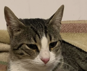 Ekran-Resmi-2026-02-01-22.34.55