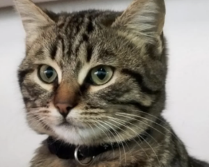 Ekran-Resmi-2026-02-01-22.55.42