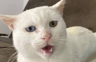 Ekran-Resmi-2026-02-01-23.00.17