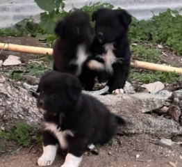 Ekran-Resmi-2026-02-01-23.02.19