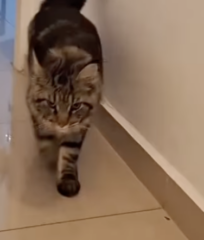 Ekran-Resmi-2026-02-01-23.14.37