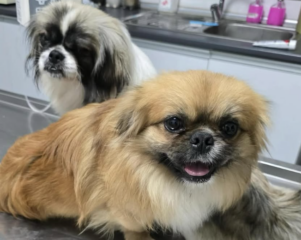 Ekran-Resmi-2026-02-01-23.33.43