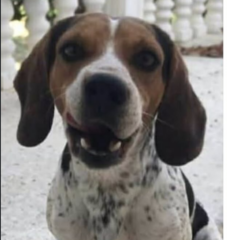 Ekran-Resmi-2026-02-02-00.20.01