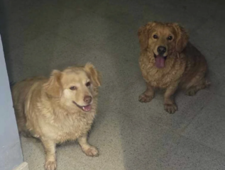 Ekran-Resmi-2026-02-02-00.28.10