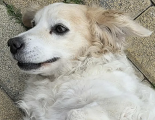 Ekran-Resmi-2026-02-02-00.34.11