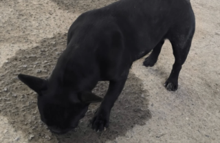 Ekran-Resmi-2026-02-02-01.58.10