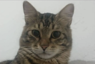 Ekran-Resmi-2026-02-02-01.59.41