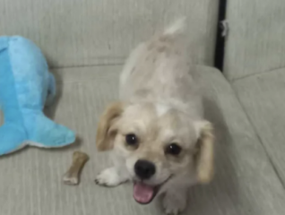 Ekran-Resmi-2026-02-02-11.36.05