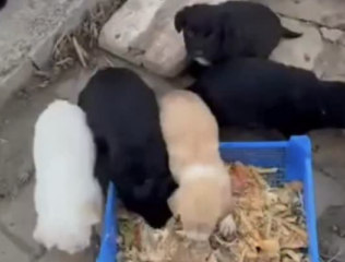 Ekran-Resmi-2026-02-02-12.03.16