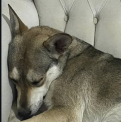 Ekran-Resmi-2026-02-02-12.05.19