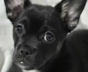 Ekran-Resmi-2026-02-02-12.20.20