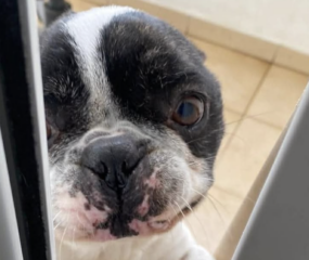 Ekran-Resmi-2026-02-02-12.22.38