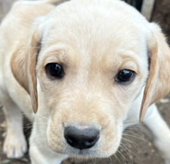 Ekran-Resmi-2026-02-02-12.28.56