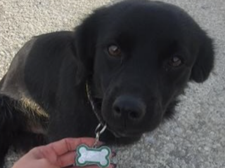 Ekran-Resmi-2026-02-02-16.21.28