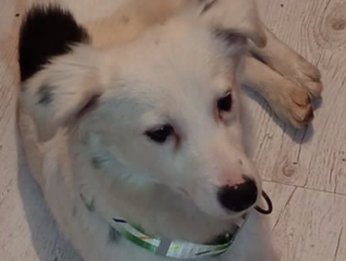 Ekran-Resmi-2026-02-02-16.23.58