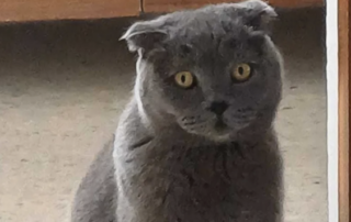 Ekran-Resmi-2026-02-02-16.39.57