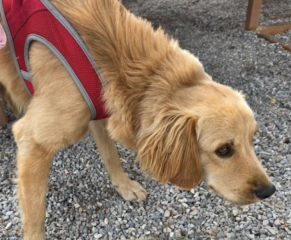 Ekran-Resmi-2026-02-02-16.52.51