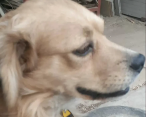 Ekran-Resmi-2026-02-02-17.00.11