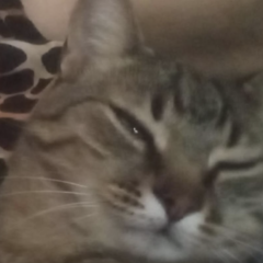 Ekran-Resmi-2026-02-02-17.05.31