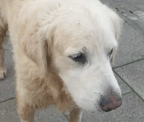 Ekran-Resmi-2026-02-02-17.10.10