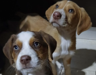 Ekran-Resmi-2026-02-02-17.38.09