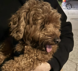 Ekran-Resmi-2026-02-02-17.49.06