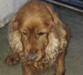 Ekran-Resmi-2026-02-02-18.15.35