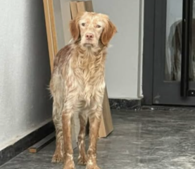 Ekran-Resmi-2026-02-02-18.21.19