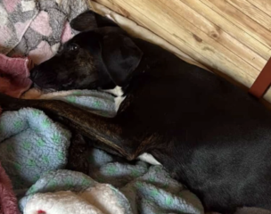 Ekran-Resmi-2026-02-02-18.41.13