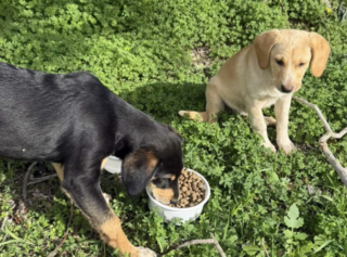 Ekran-Resmi-2026-02-02-19.33.40