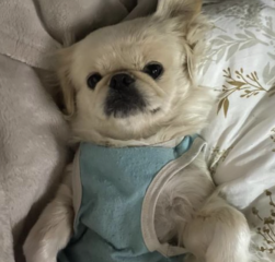 Ekran-Resmi-2026-02-02-20.21.11