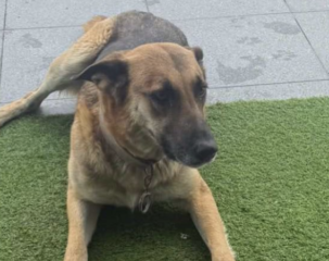 Ekran-Resmi-2026-02-02-20.23.56