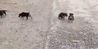 Ekran-Resmi-2026-02-02-20.26.50