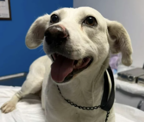 Ekran-Resmi-2026-02-02-20.35.58